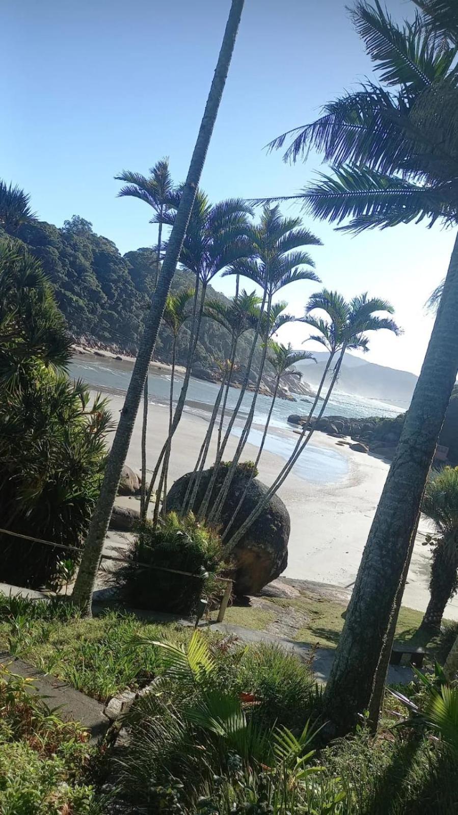 Ilha Do Papagaio - Pousada Exclusiva Hotel Palhoca Exterior photo