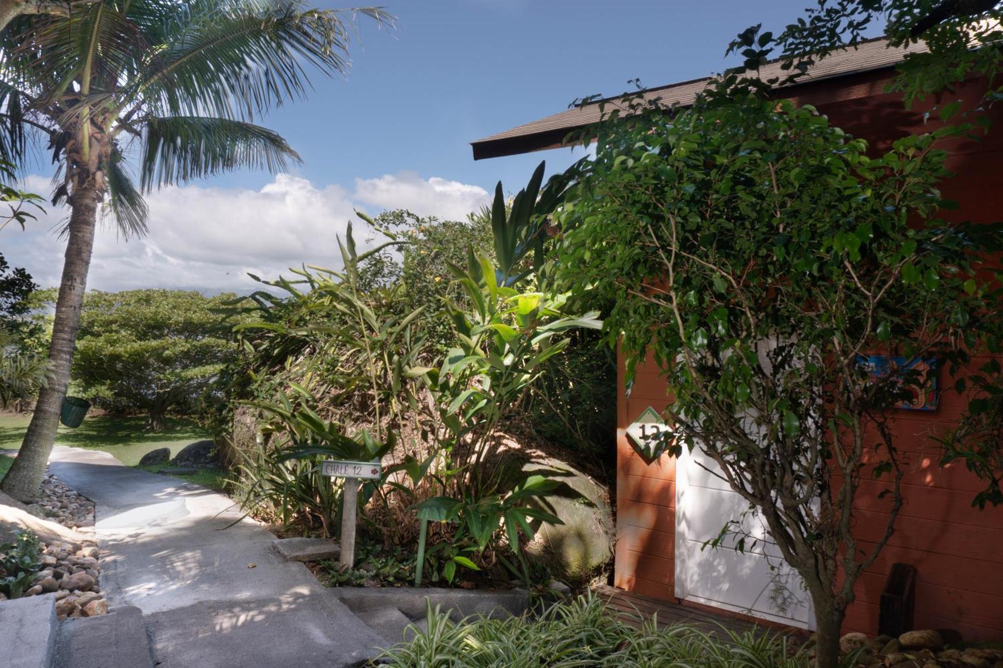 Ilha Do Papagaio - Pousada Exclusiva Hotel Palhoca Room photo